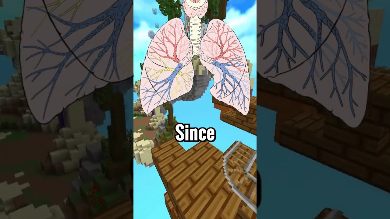 Do You Know ANYTHING About Your Body?